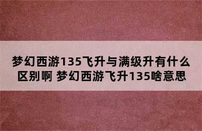 梦幻西游135飞升与满级升有什么区别啊 梦幻西游飞升135啥意思